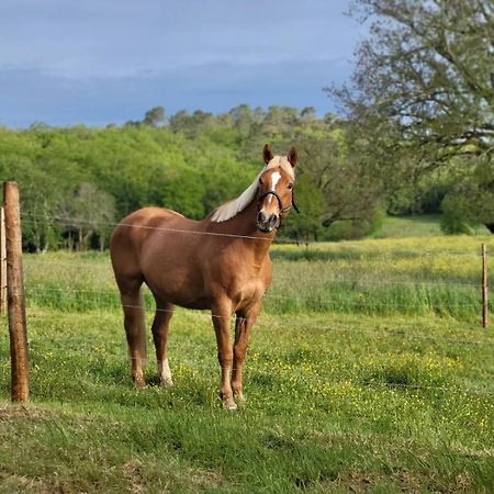 Maison Chaleureuse A La Campagne Payrignac Exteriér fotografie